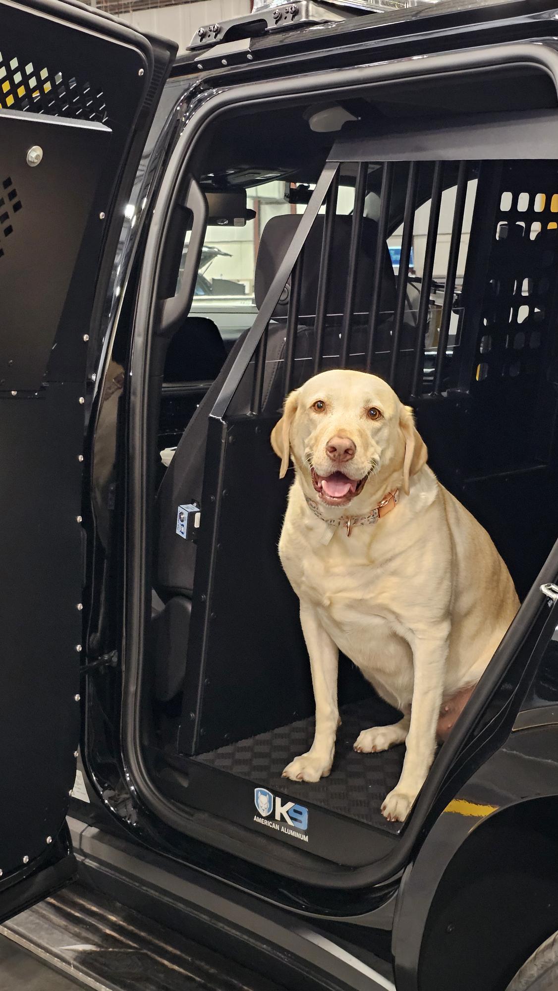 Specialized K9 transport and secure vehicle storage system installed inside a public safety SUV